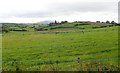 Drumlins south-east of Macullagh Road