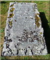 Carved Grave Slab at Auldearn