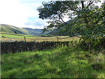 NY4318 : Looking up Martindale from St Martin's Churchyard by Marathon