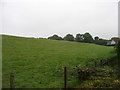 Farmland west of Eglyswrw