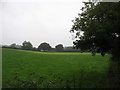 Farmland by the A487