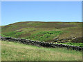 Grazing and stone walls near Carr Meadow Farm