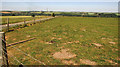 Pasture at Bilbury Farm