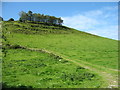 A steep climb beside the Meidrim road !