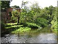 River Wey by The Kilns, Snailslynch