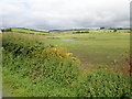 Reclaimed wetland in the Townland of Camly (Macullagh)