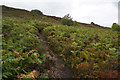 Path to the top of Royd Edge