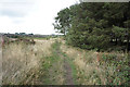 Meltham Way towards Hassocks Road