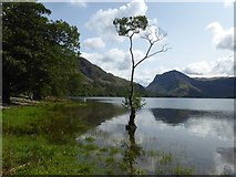 NY1716 : A peaceful scene on Buttermere by Marathon