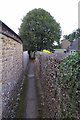 Narrow footpath going south