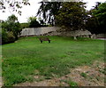 Bench on a grass bank, Broadwey, Weymouth