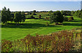 SJ6654 : Golf course, Alvaston Hall, Nantwich by Brian Robert Marshall