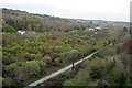 Below the Carnon Viaduct