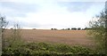 Field, north of Helston Water