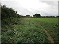 Footpath to Goom