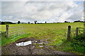 An open field, Carrigans