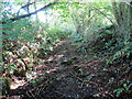 Llwybr uwchben Capel Dewi / A path above Capel Dewi