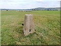 Trig Point on Middleham Low Moor