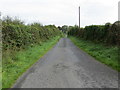 M6978 : Hedge enclosed lane near Longford, Castlerea by Peter Wood