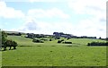 Farm sheds on Glenmore Road