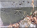 OS Cut Benchmark Buckstone Drive/ Micklefield Lane, Rawdon