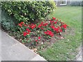 Flower bed on Ashburnham Road, Ham