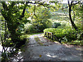 Bridge over Aber Glesyrch