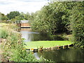 The River Colne south of Horton Road