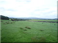 Grazing near Broughton Barn