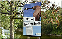 J3675 : "Do not feed the birds" sign, Victoria Park, Belfast (September 2018) by Albert Bridge