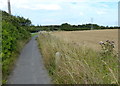 Path at East Sleekburn