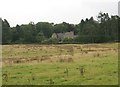 Rough grazing beside Ibert Road