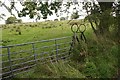 Stile beside a gate