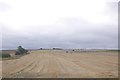 Barley harvest near Kinneries