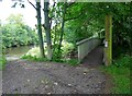 Bridge on the Clyde Walkway near Crossford