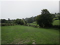 Field below Ramsley Hill