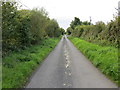 M6577 : A hedge enclose local road (L1610) near Caher by Peter Wood