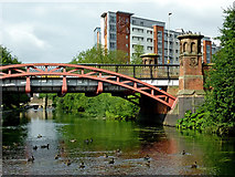 SK5803 : Mill Lane Bridge in Leicester by Roger  D Kidd