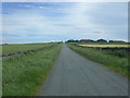 NZ0626 : Minor road towards Woodland by JThomas