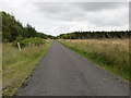 M7583 : Lane between Ballyglass and Rathmoyle passing through an area of forestry by Peter Wood