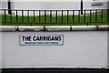 Sign, The Carrigans