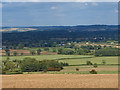 Fields West of Longborough