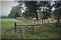 Field corner at Easter Muirhead Plantation