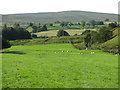 Pastures by Killhope Burn north of Wearhead