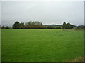 Grazing, Green Lane End