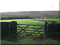 Gate with benchmarked post near Wayworth Farm