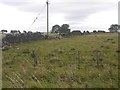 Fields by Hawden Grange