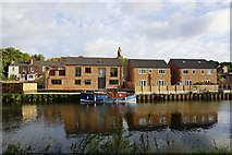 SK4799 : Houses overlooking Mexborough New Cut by Ian S
