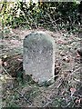 Inscribed stone at Musterfield