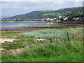 The coast at Fairlie